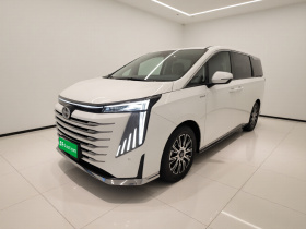 广汽传祺 传祺E9 2023款 E9 PRO