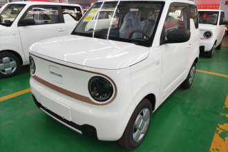 吉利银河 2024款 熊猫mini 200km 耐力熊