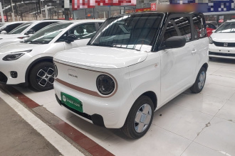 吉利银河 2024款 熊猫mini 200km 耐力熊