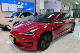 特斯拉 Model 3 2019款 标准续航后驱升级版