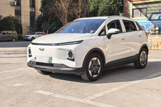 吉利几何E萤火虫 2024款 401km 星光