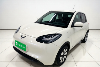 五菱汽车 五菱缤果 2024款 333km 悦享款