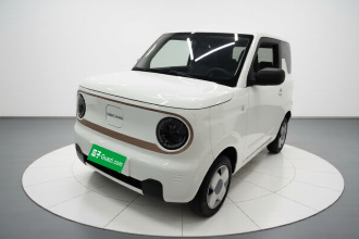 吉利银河 2024款 熊猫mini 200km 耐力熊