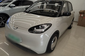 五菱汽车 五菱缤果 2023款 333km 快享款