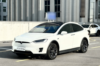 特斯拉 Model X 2019款 长续航版