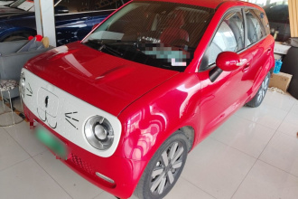 欧拉黑猫 2019款 351km 女神版