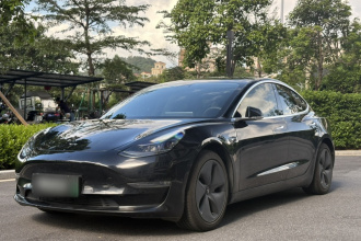 特斯拉 Model 3 2020款 改款 长续航后轮驱动版
