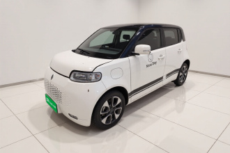欧拉白猫 2022款 升级版 305km 豪华型 三元锂