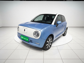 欧拉黑猫 2019款 351km 亲子版