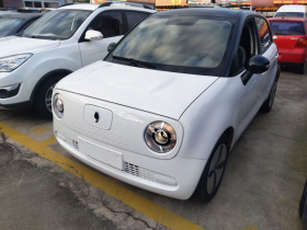 欧拉黑猫 2021款 301km 萌宠版