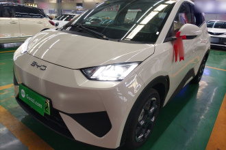 比亚迪 海鸥 2025款 智驾版 405km 自在版