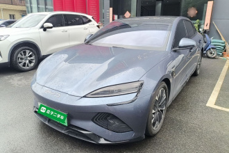 比亚迪 海豹 2023款 冠军版 700km 尊贵型