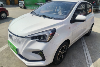 长安 奔奔E-Star 2022款 清心版 多彩款 磷酸铁锂