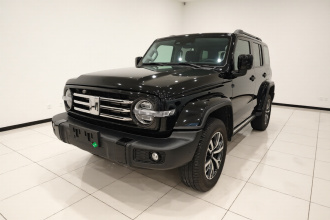 坦克300 2024款 2.0T 穿越者