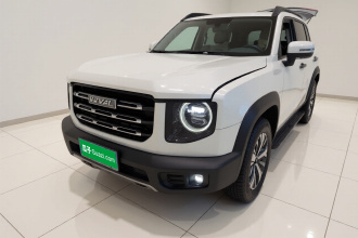 哈弗大狗 2021款 1.5T DCT两驱拉布拉多版