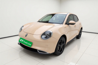 欧拉好猫 2024款 401km 豪华型