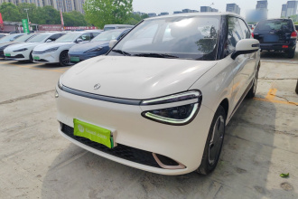 东风纳米 纳米01 2024款 430 Plus