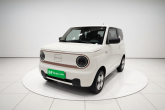 吉利银河 2024款 熊猫mini 200km 耐力熊