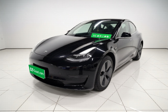 特斯拉 Model 3 2020款 改款 标准续航后驱升级版