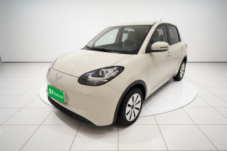 五菱汽车 五菱缤果 2023款 203km 轻享款