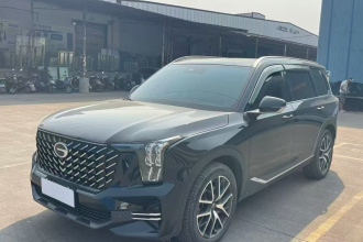 广汽传祺 传祺GS8 2024款 领航系列 2.0TGDI 两驱豪华智联版 7座