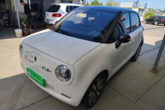 欧拉黑猫 2021款 351km 标准型