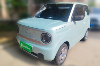 吉利银河 2023款 熊猫mini 200km 耐力熊