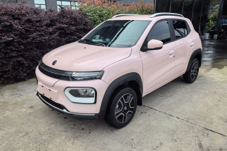 东风纳米 纳米BOX 2022款 轻风版 201KM 进阶型