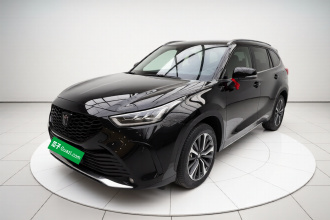 丰田 皇冠陆放 2026款 2.5L HEV四驱尊贵版