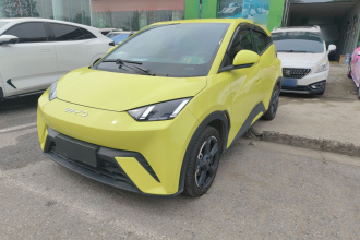 比亚迪 海鸥 2023款 飞翔版