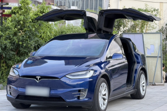 特斯拉 Model X 2019款 长续航版