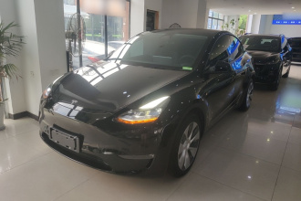 特斯拉 Model Y 2021款 长续航全轮驱动版