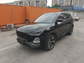 思皓X8 2021款 300T DCT领先智联版 7座