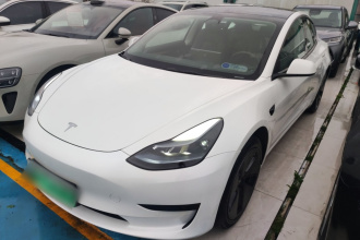特斯拉 Model 3 2022款 后轮驱动版