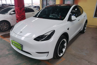 特斯拉 Model Y 2021款 长续航全轮驱动版