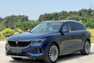 岚图汽车 岚图FREE 2021款 四驱标准增程专属豪华套装