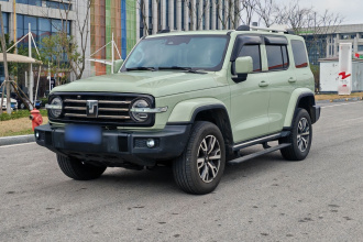 坦克300 2024款 2.0T 穿越者