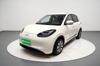 五菱汽车 五菱缤果 2023款 203km 舒享款