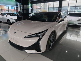 ARCFOX极狐 极狐 阿尔法S5 2024款 560MAX 185kW