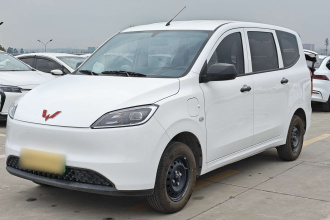 五菱汽车 五菱宏光新能源 2024款 纯电版 300KM 标准型