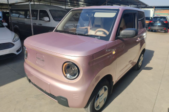 吉利银河 2023款 熊猫mini 200km 耐力熊