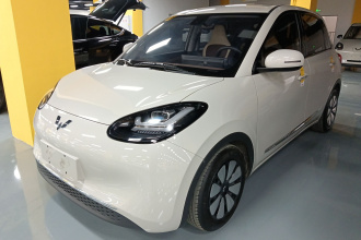 五菱汽车 五菱缤果 2023款 203km 舒享款