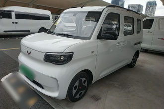 五菱汽车 五菱之光新能源 2025款 305km 进取型