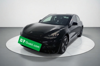 特斯拉 Model 3 2020款 改款 长续航后轮驱动版