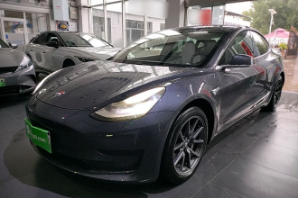 特斯拉 Model 3 2019款 标准续航后驱升级版