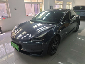 特斯拉 Model 3(进口) 2019款 长续航后驱版