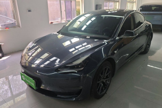 特斯拉 Model 3(进口) 2019款 长续航后驱版