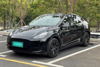 特斯拉 Model Y 2023款 后轮驱动版