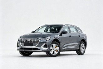 奥迪e-tron 2021款 50 quattro 豪华型