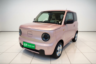 吉利银河 2024款 熊猫mini 200km 耐力熊
